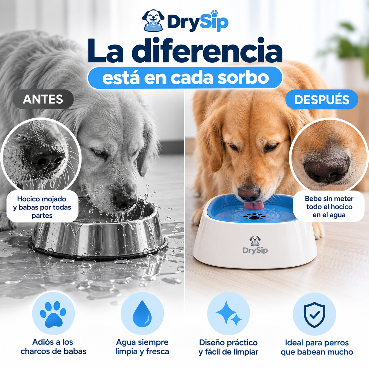 Bebedero Antibabas con Tapa Flotante