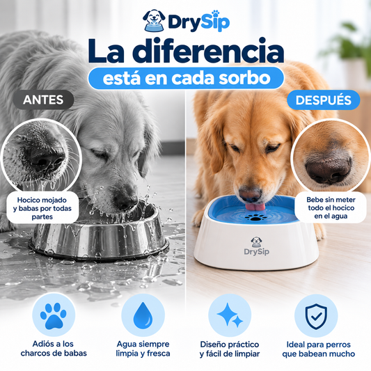 Bebedero Antibabas con Tapa Flotante